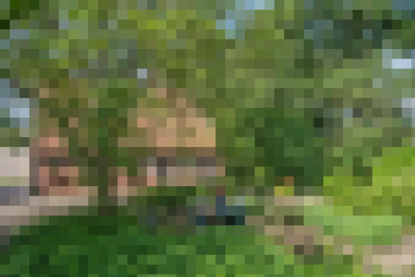 Beldsweg 23 Ambt Delden thumbnail 40