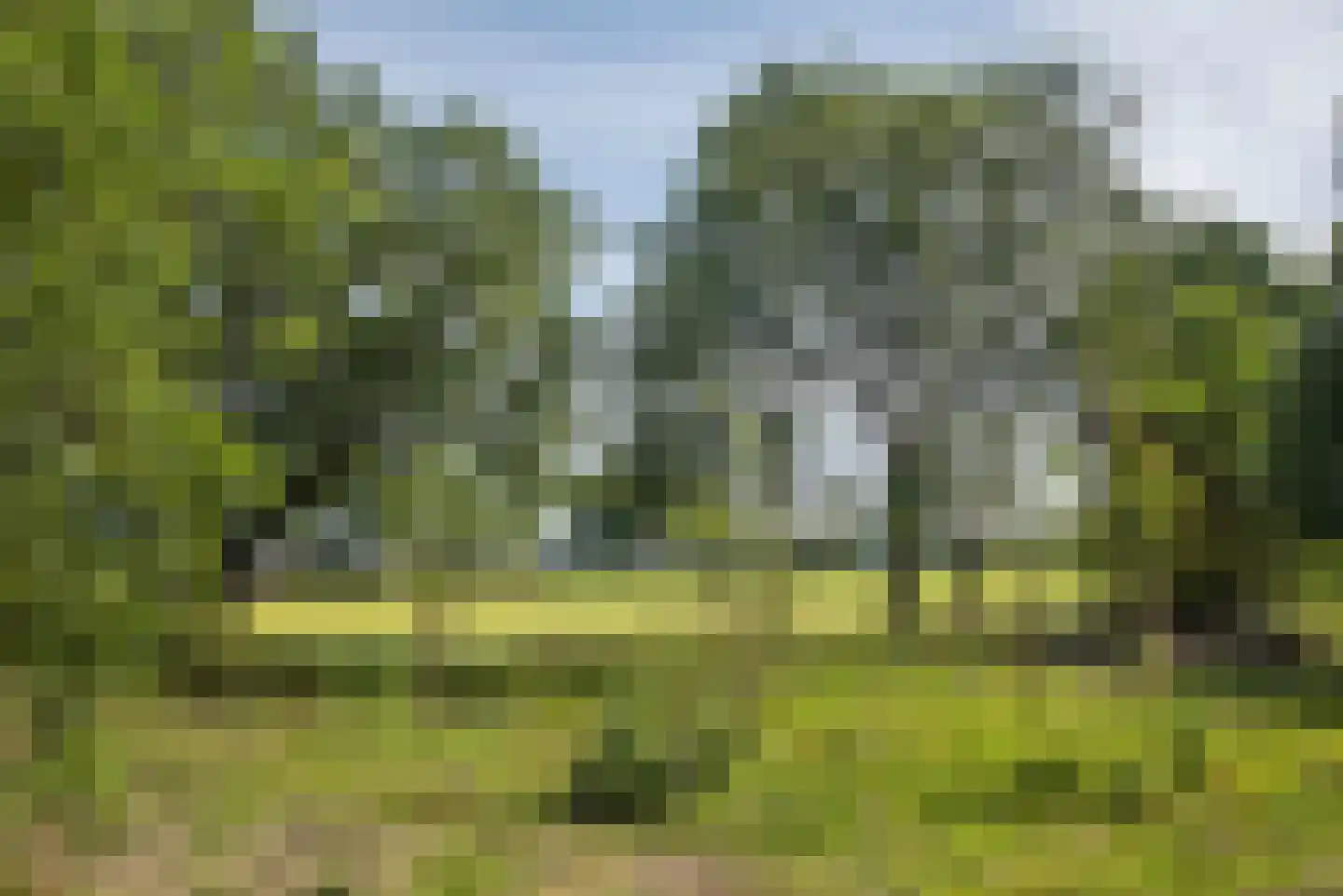 Beldsweg 23 Ambt Delden thumbnail 43