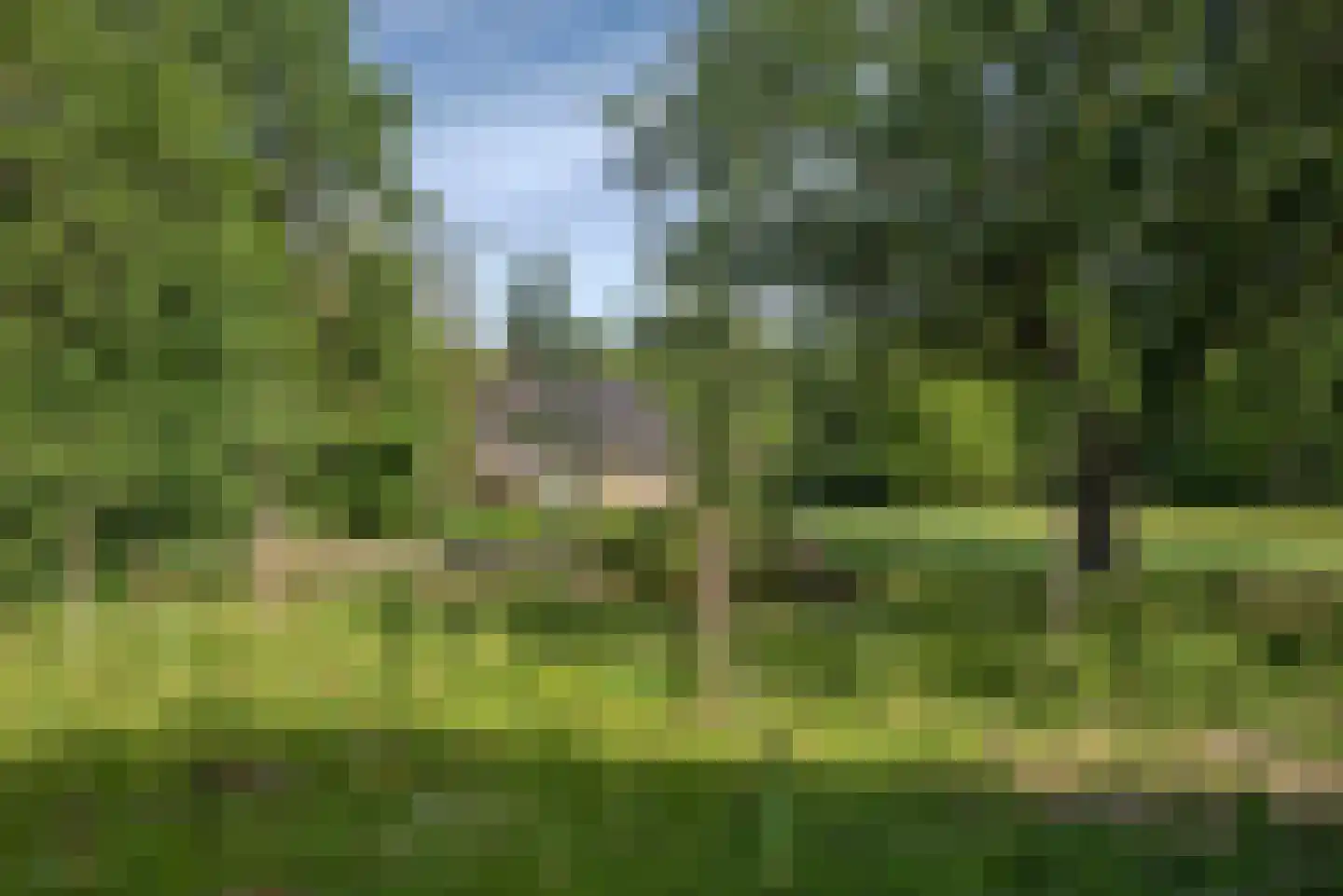 Beldsweg 23 Ambt Delden thumbnail 44