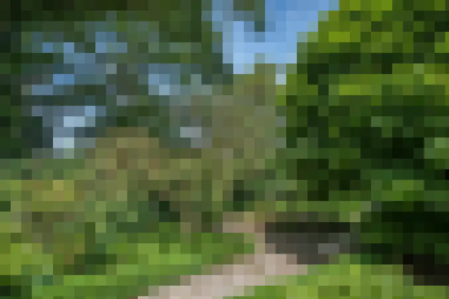 Beldsweg 23 Ambt Delden thumbnail 45