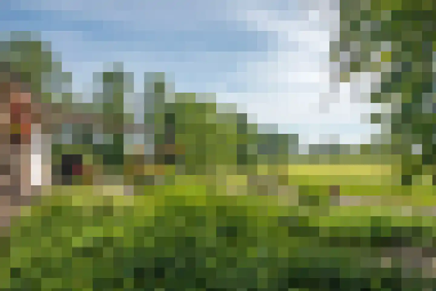 Beldsweg 23 Ambt Delden thumbnail 49