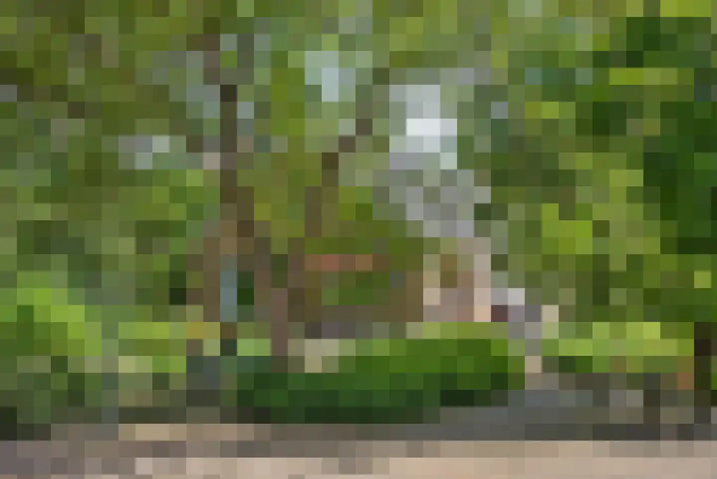 Beldsweg 23 Ambt Delden thumbnail 5