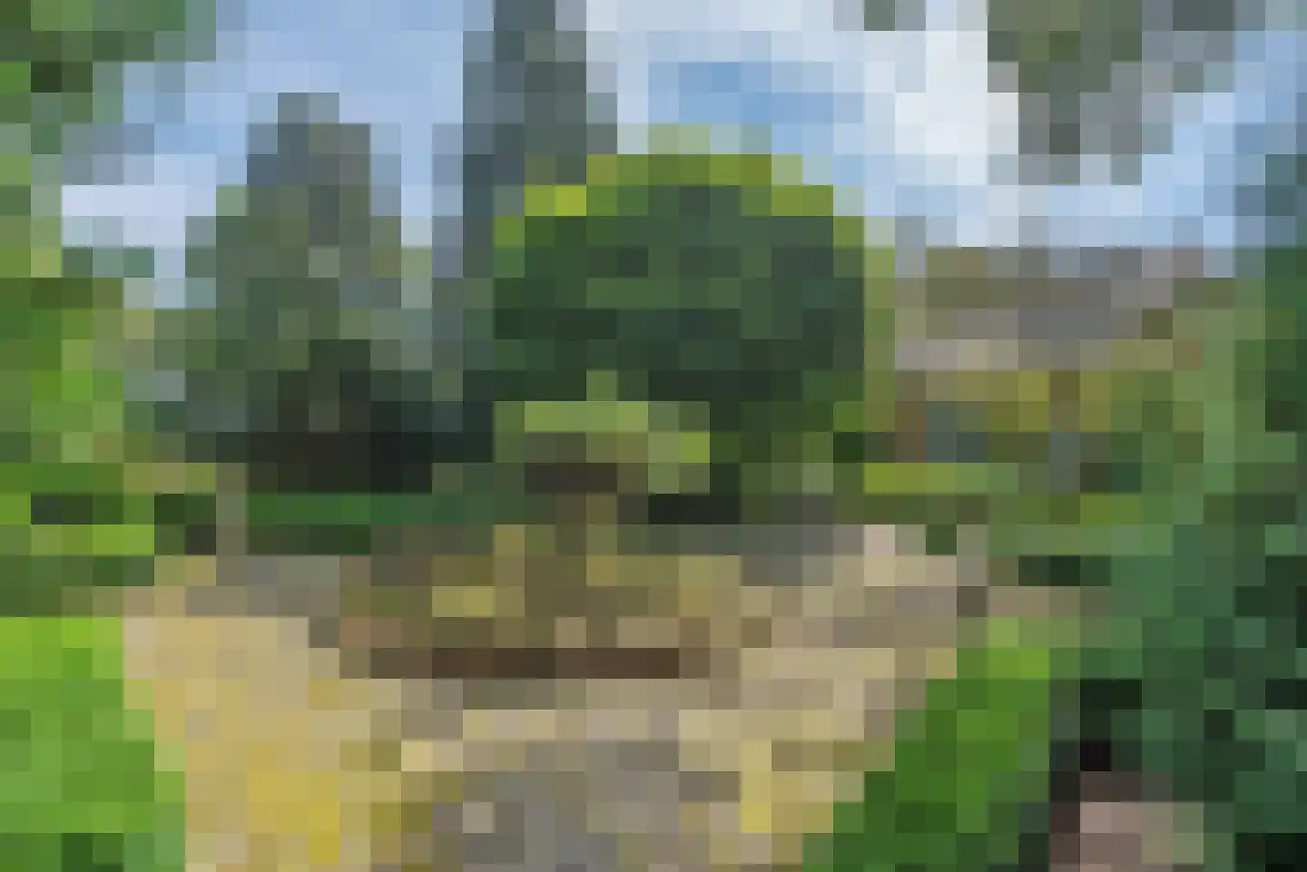 Beldsweg 23 Ambt Delden thumbnail 51