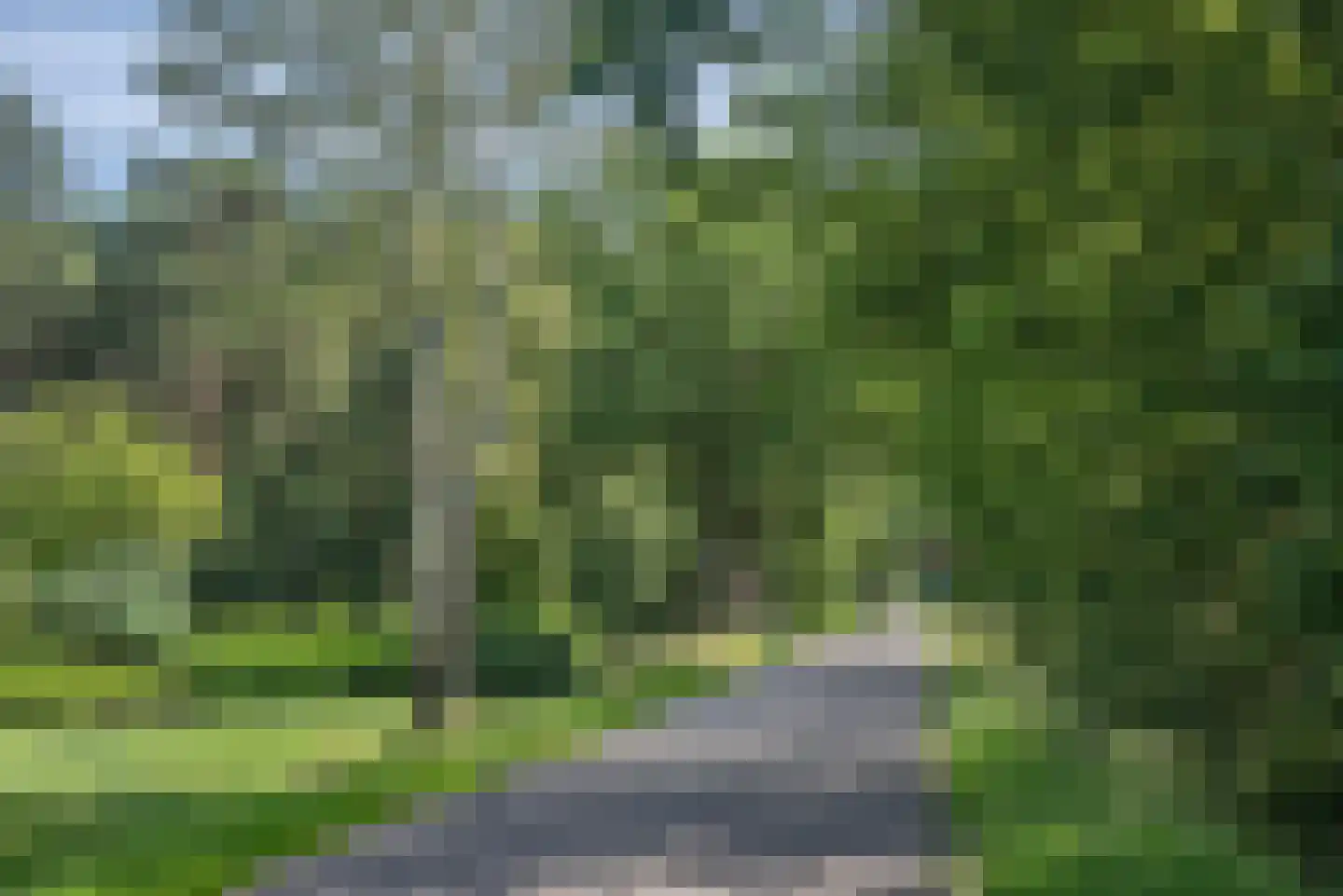Beldsweg 23 Ambt Delden thumbnail 53