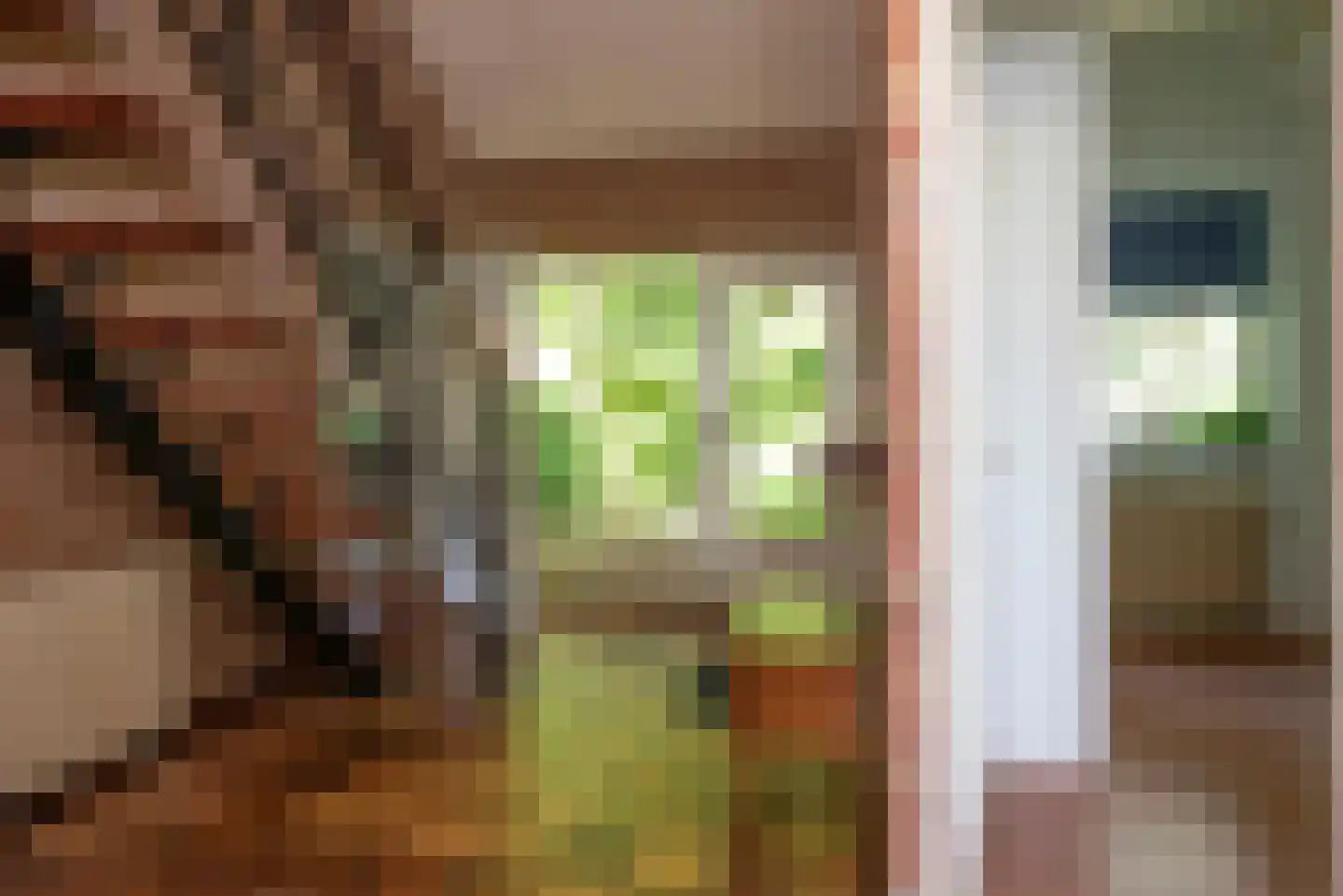 Beldsweg 23 Ambt Delden thumbnail 7