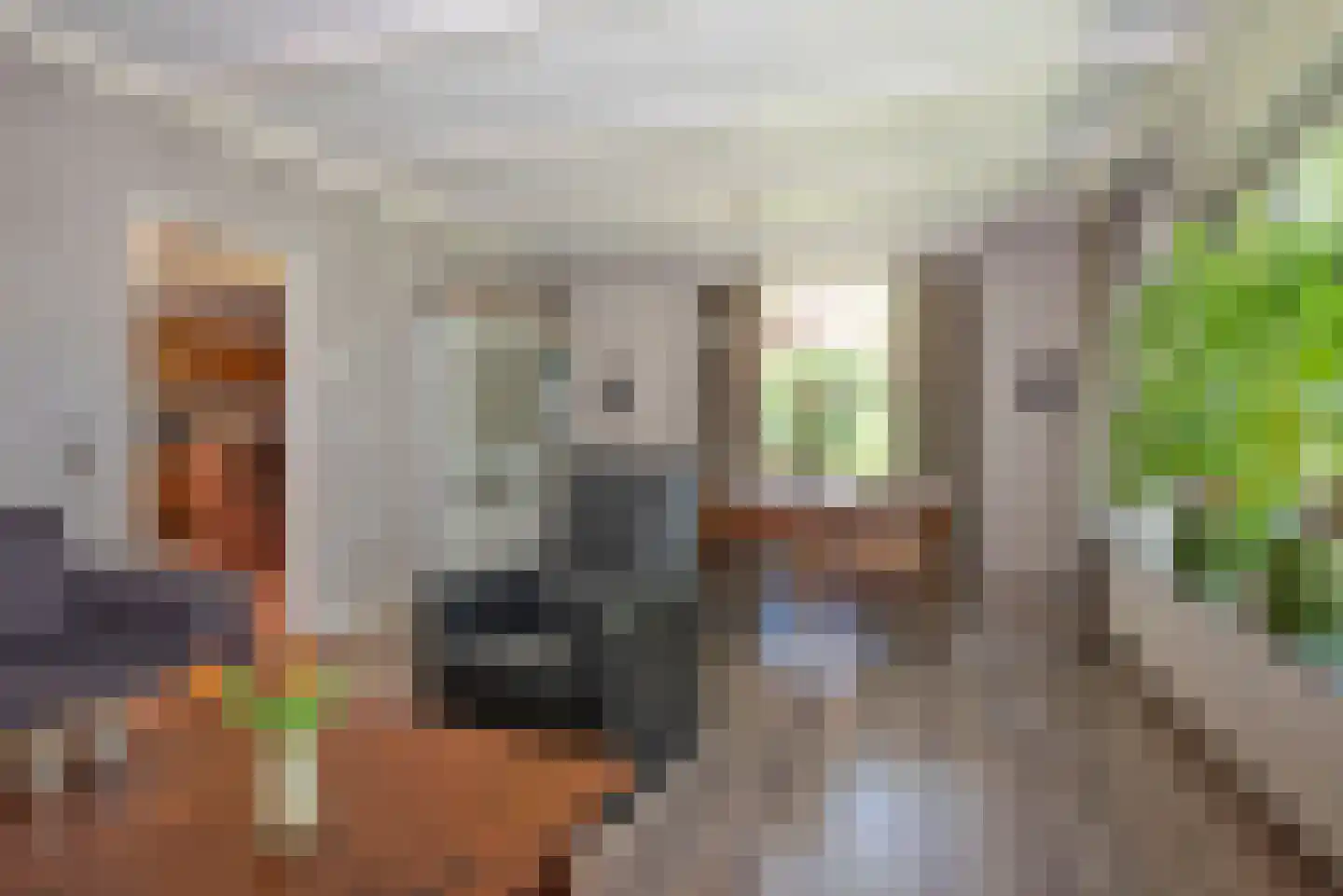 Beldsweg 23 Ambt Delden thumbnail 9
