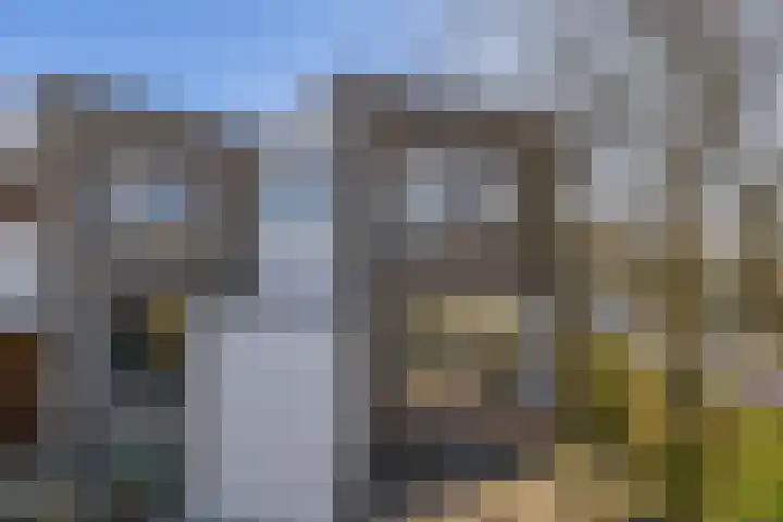 Mannschaftsfoto von Beleef Wonen met Jacqueline