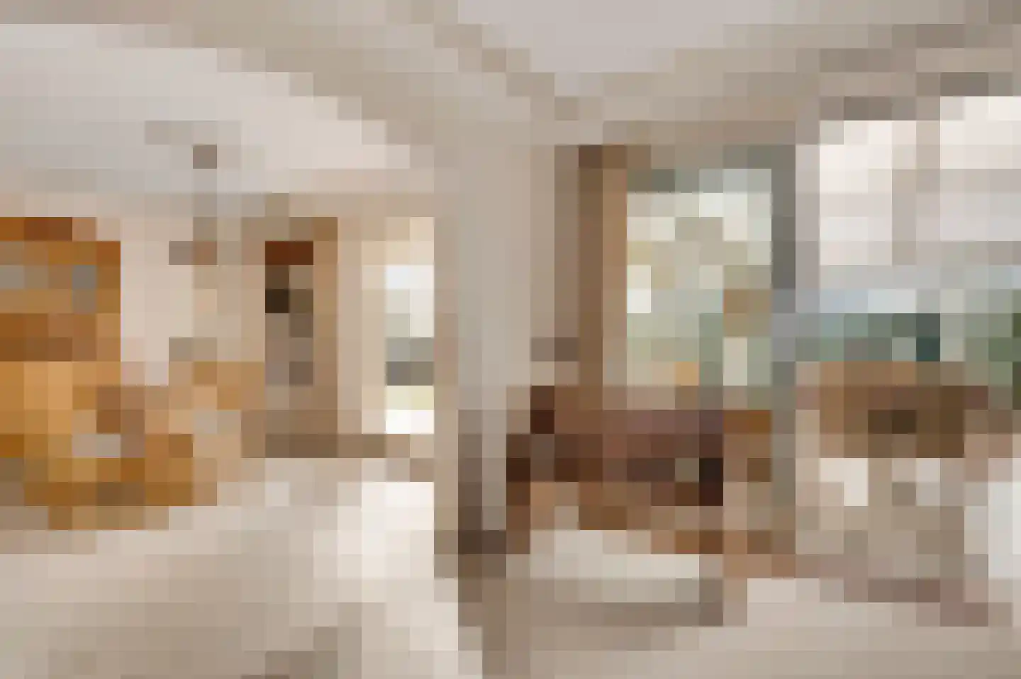 Belenbroeklaan 1 Heythuysen thumbnail 12