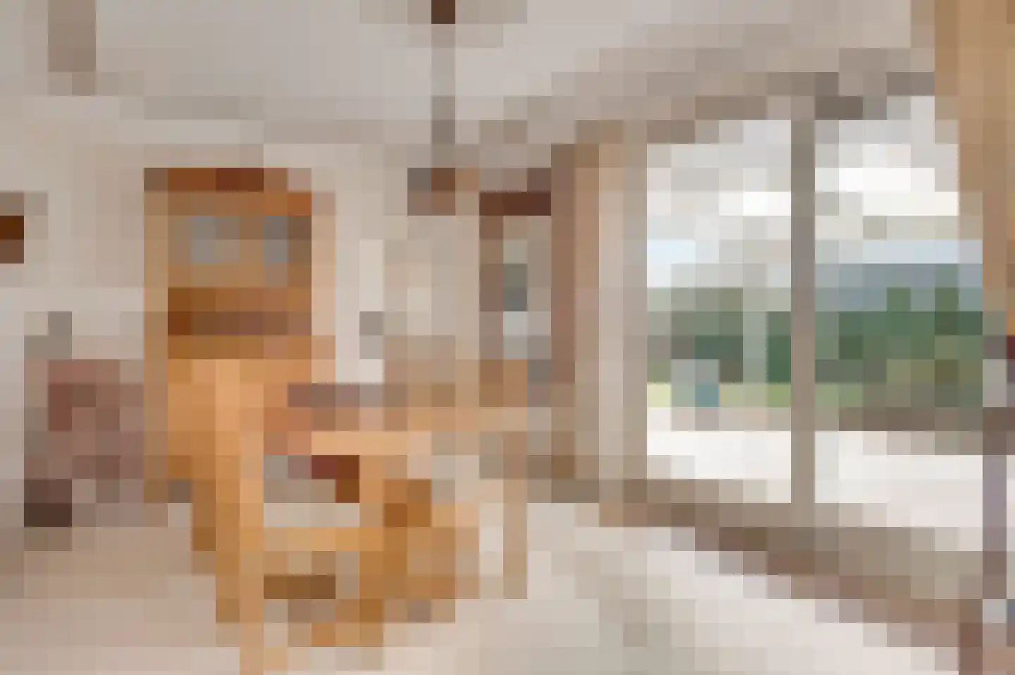 Belenbroeklaan 1 Heythuysen thumbnail 13