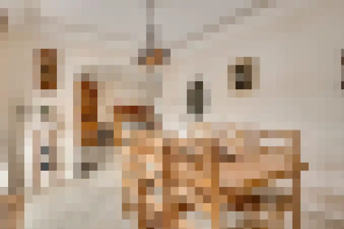 Belenbroeklaan 1 Heythuysen thumbnail 14