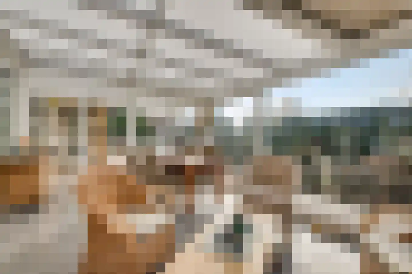 Belenbroeklaan 1 Heythuysen thumbnail 16