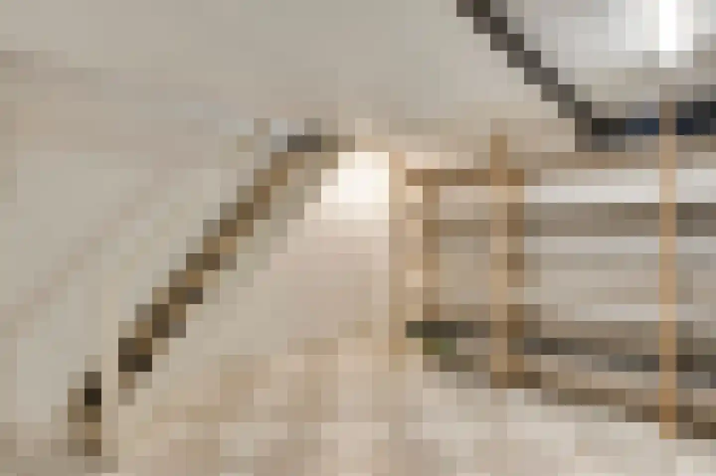 Belenbroeklaan 1 Heythuysen thumbnail 27