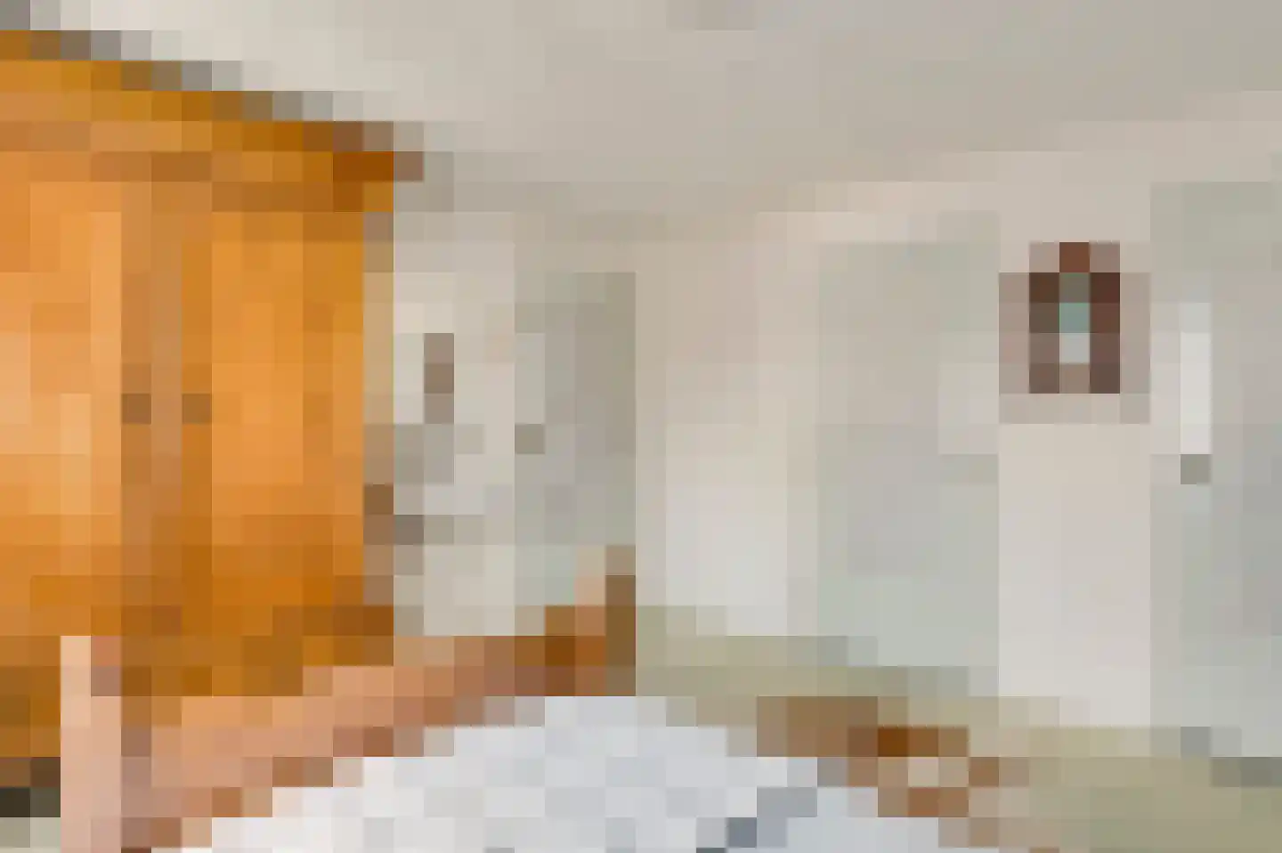 Belenbroeklaan 1 Heythuysen thumbnail 34