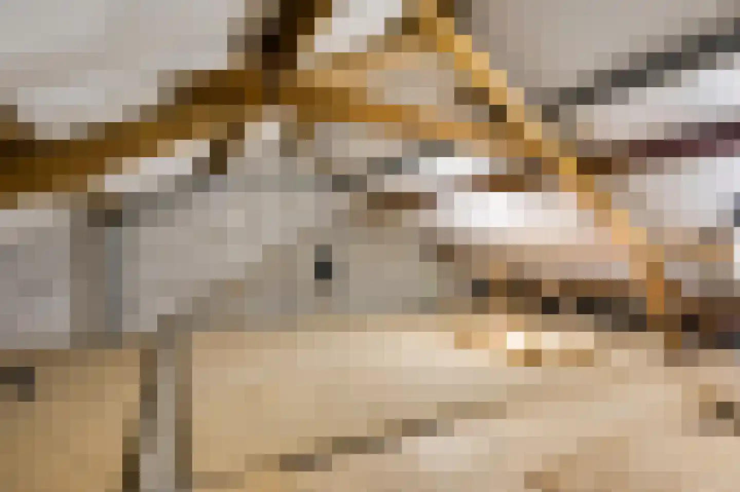 Belenbroeklaan 1 Heythuysen thumbnail 42