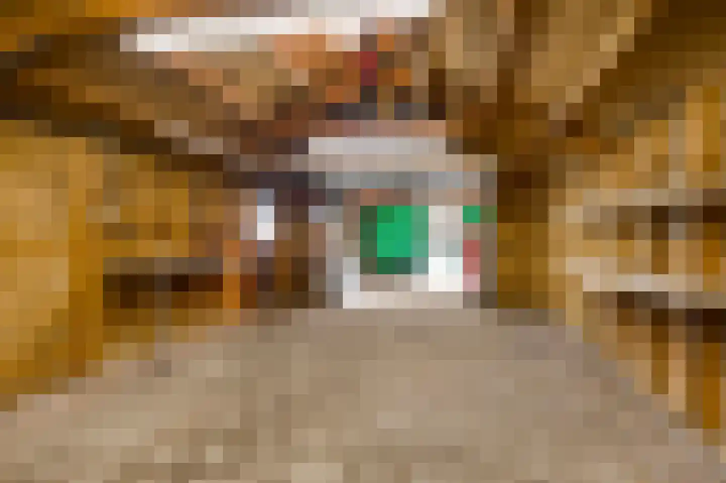 Belenbroeklaan 1 Heythuysen thumbnail 59