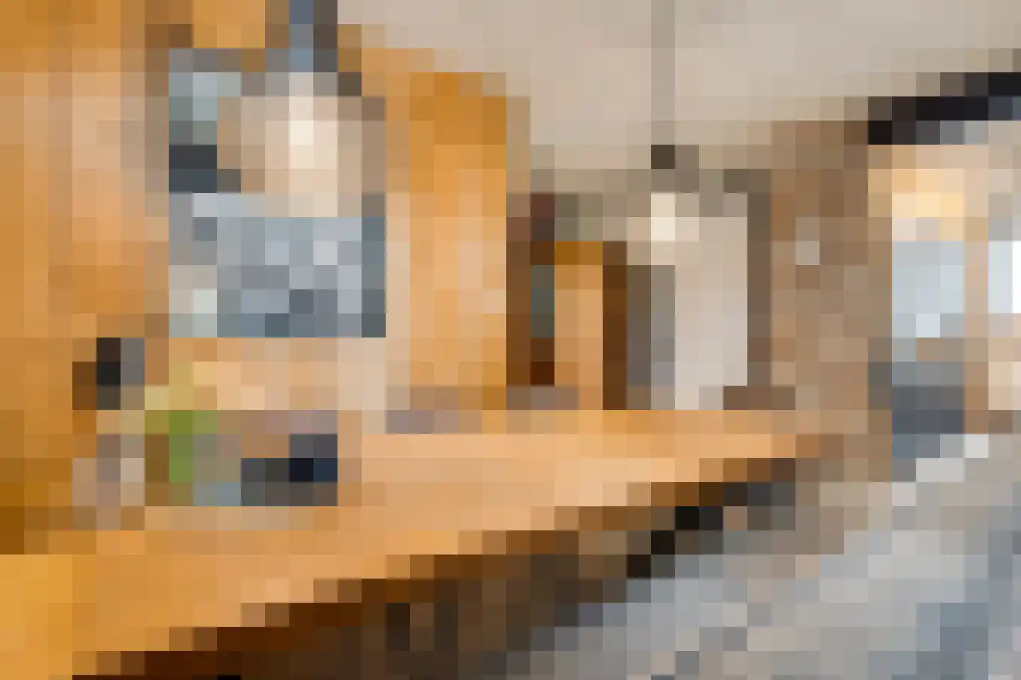 Belenbroeklaan 2 Heythuysen thumbnail 13