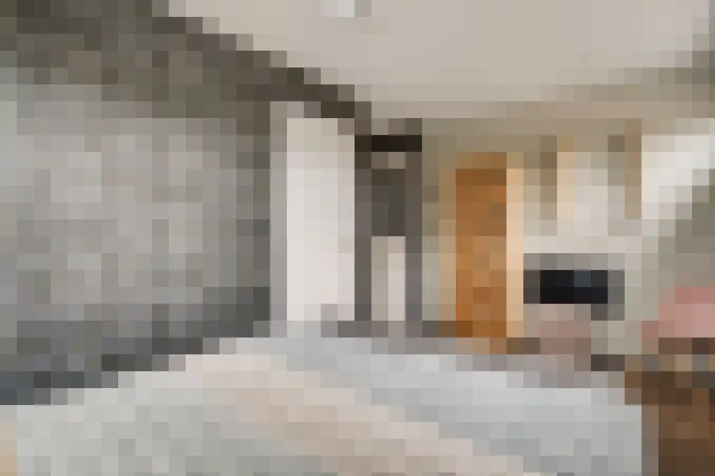 Belenbroeklaan 2 Heythuysen thumbnail 23