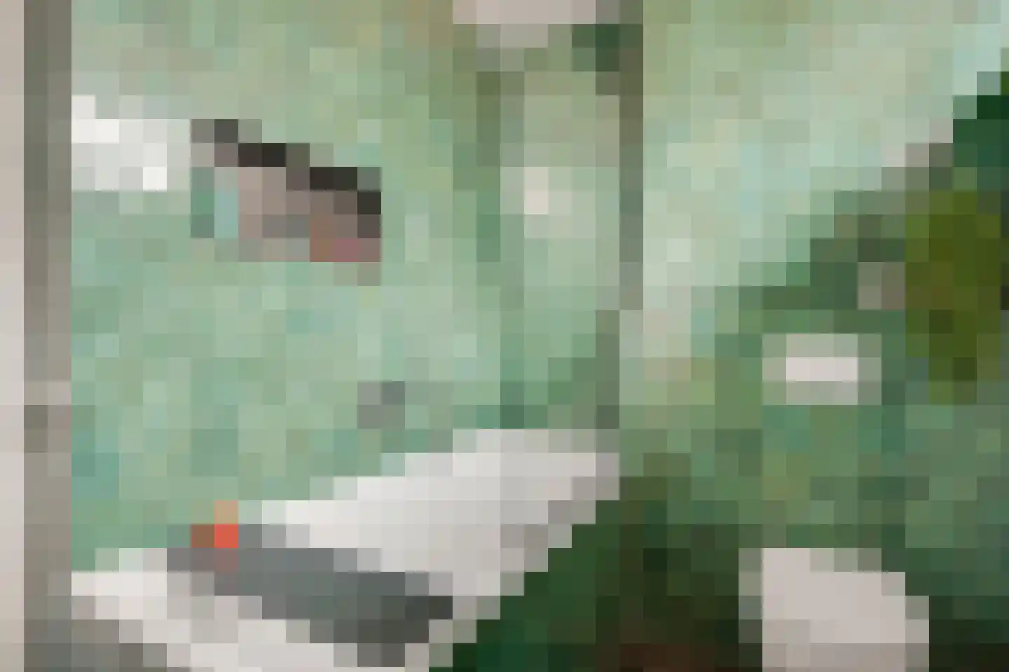 Belenbroeklaan 2 Heythuysen thumbnail 28