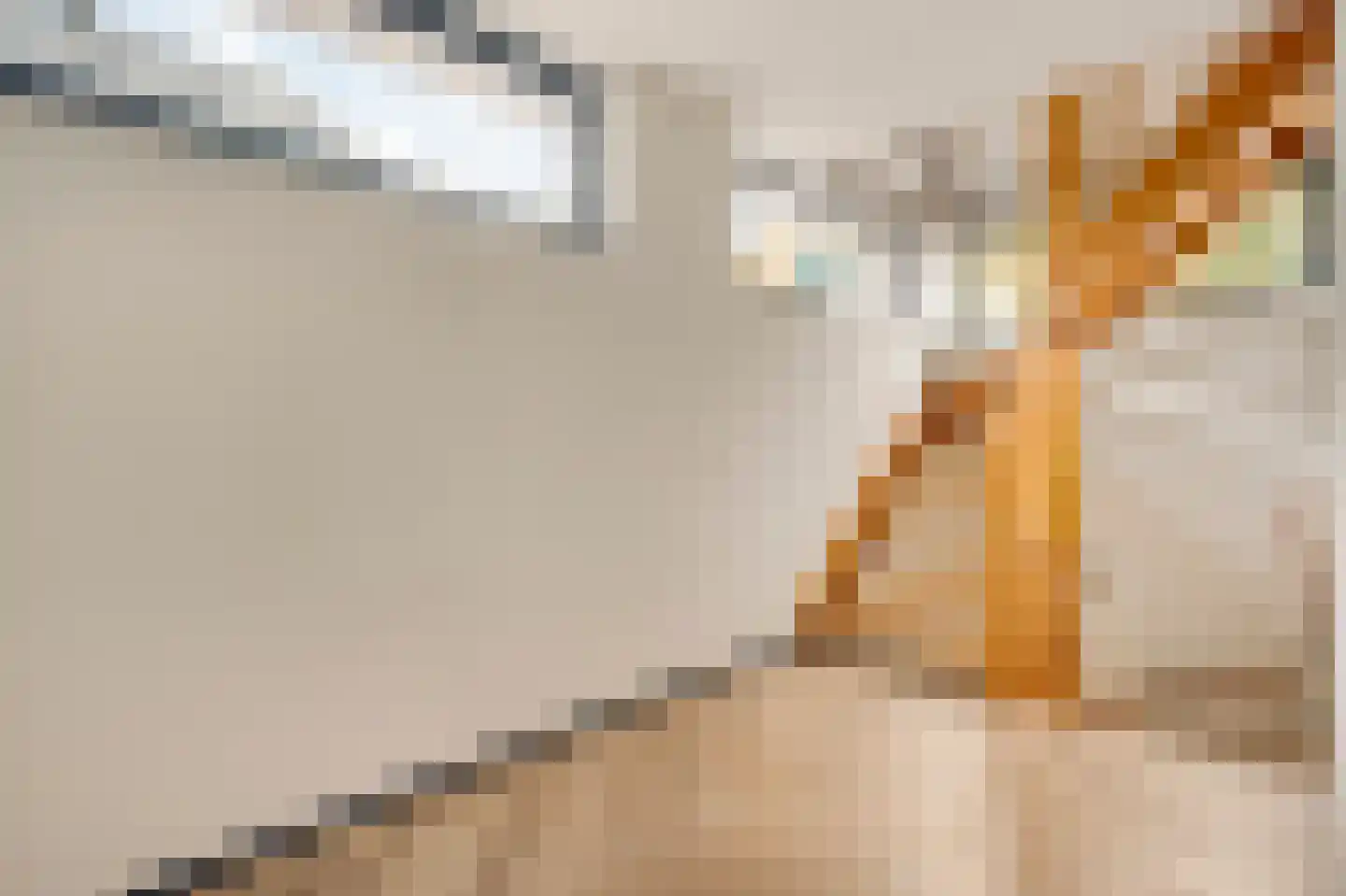 Belenbroeklaan 2 Heythuysen thumbnail 30
