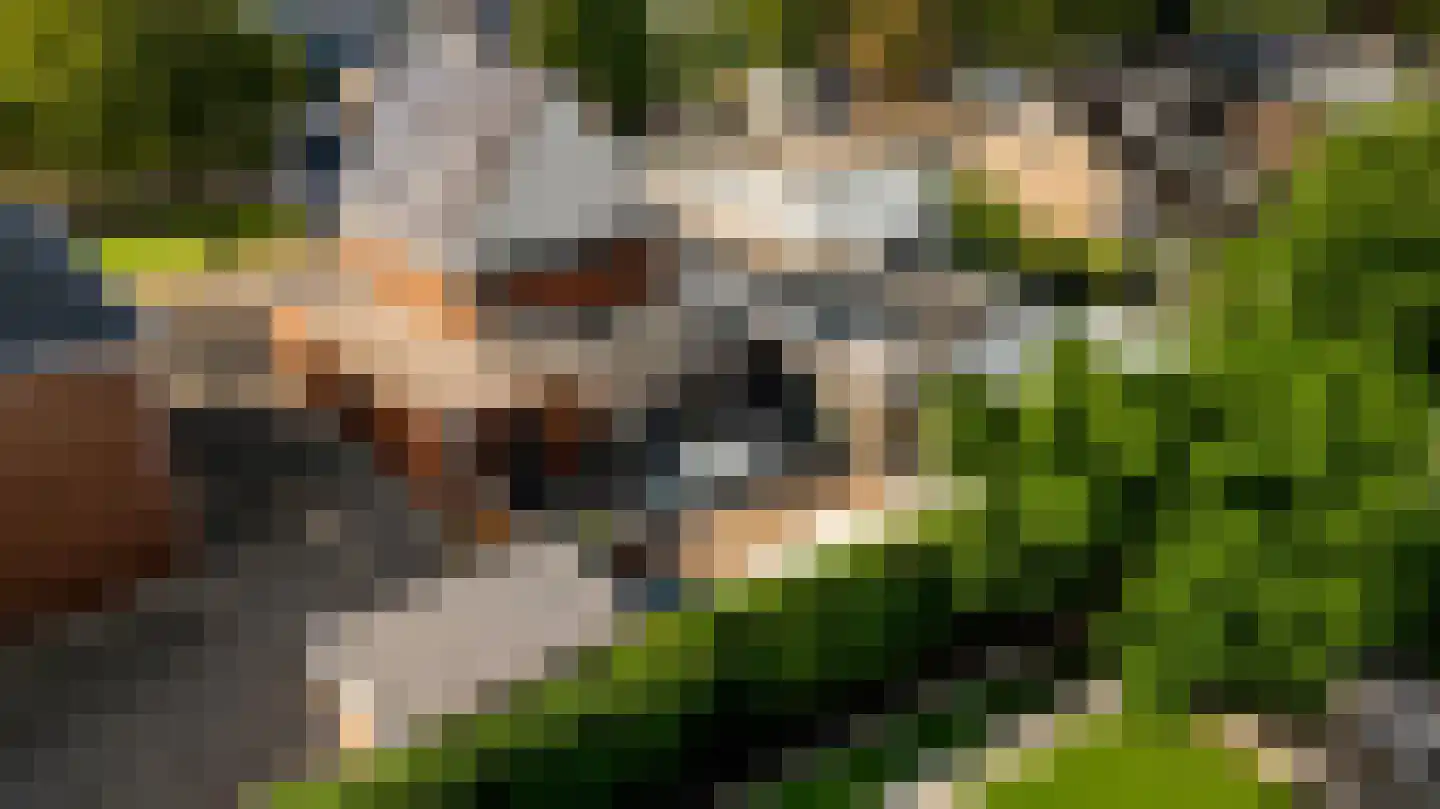 Belenbroeklaan 2 Heythuysen thumbnail 35