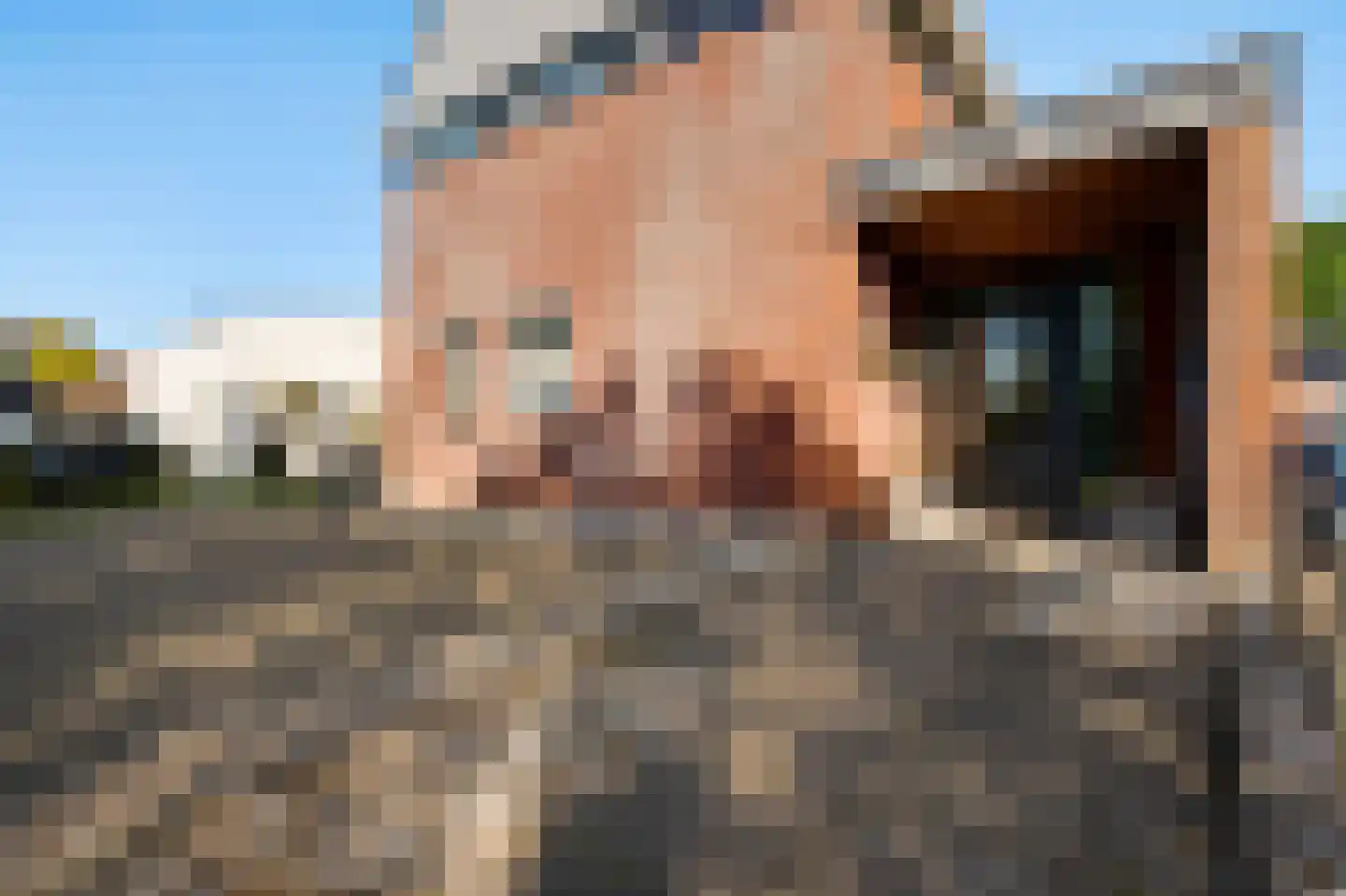 Belenbroeklaan 2 Heythuysen thumbnail 47