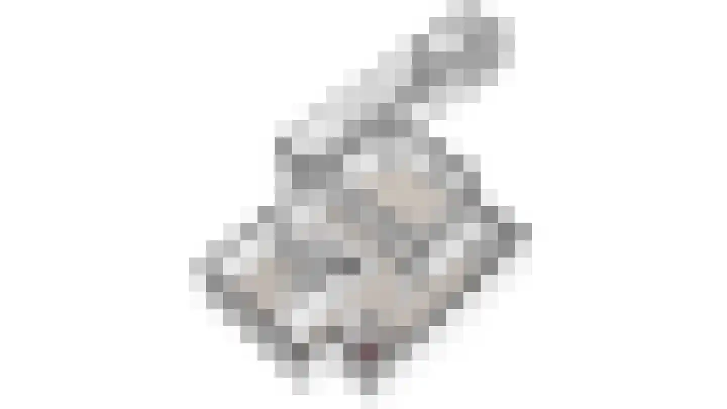 Belenbroeklaan 2 Heythuysen thumbnail 58