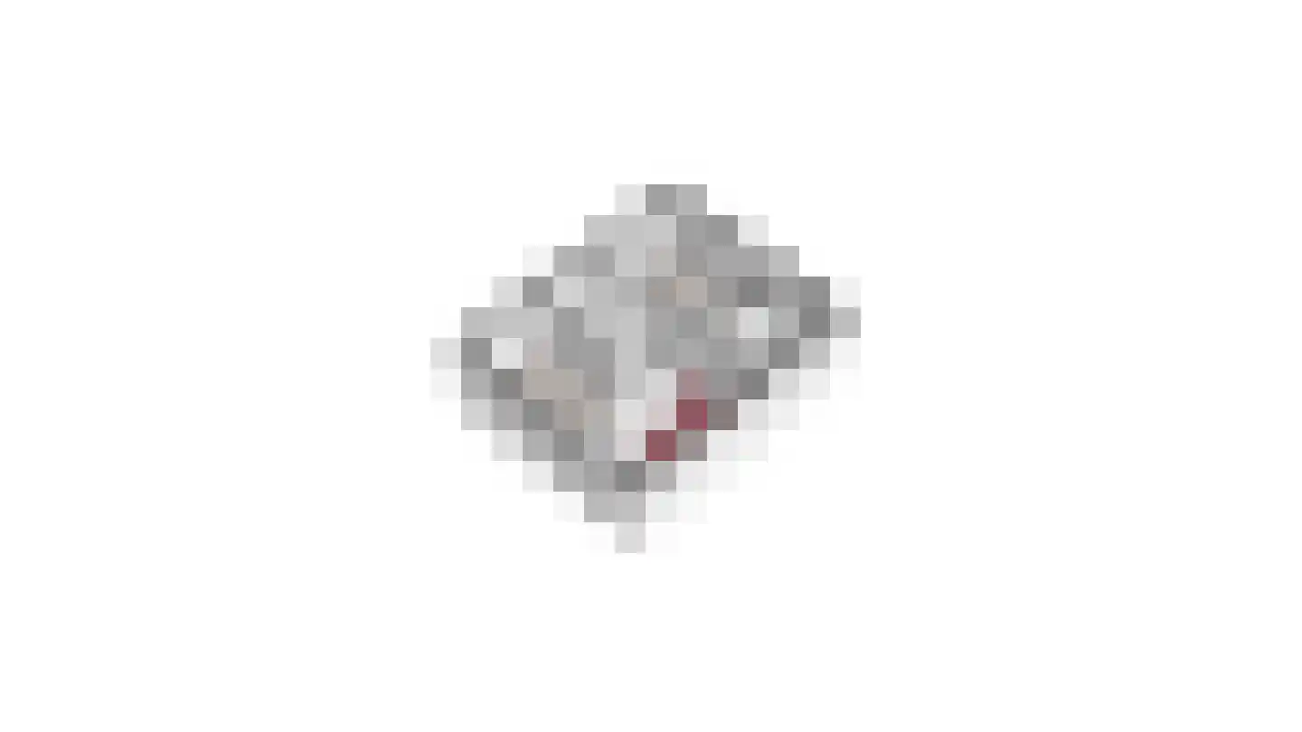Belenbroeklaan 2 Heythuysen thumbnail 59