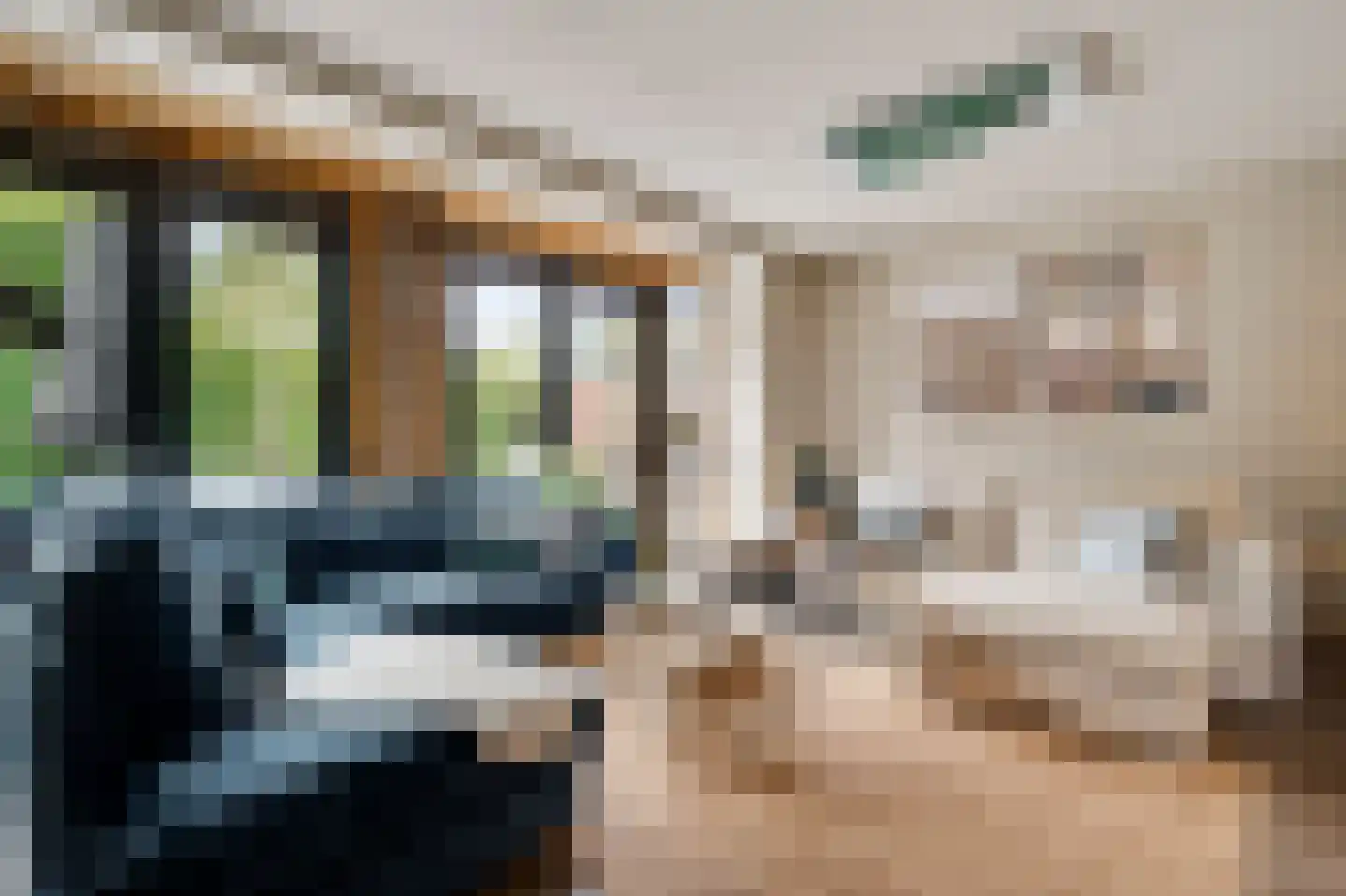 Belenbroeklaan 2 Heythuysen thumbnail 6