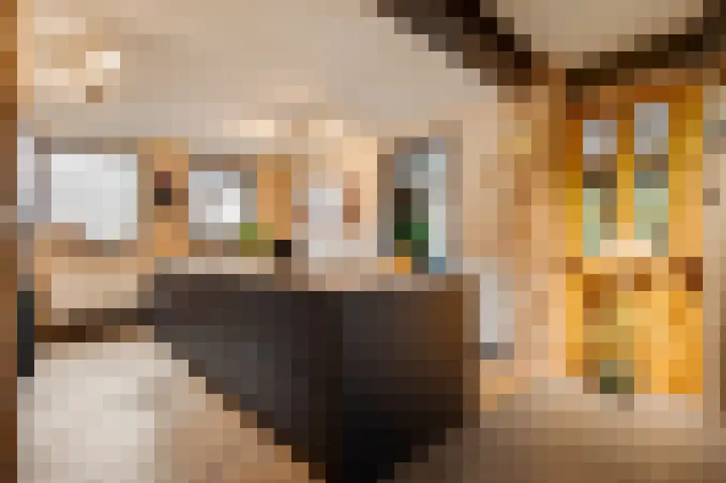 Belenbroeklaan 2 Heythuysen thumbnail 8