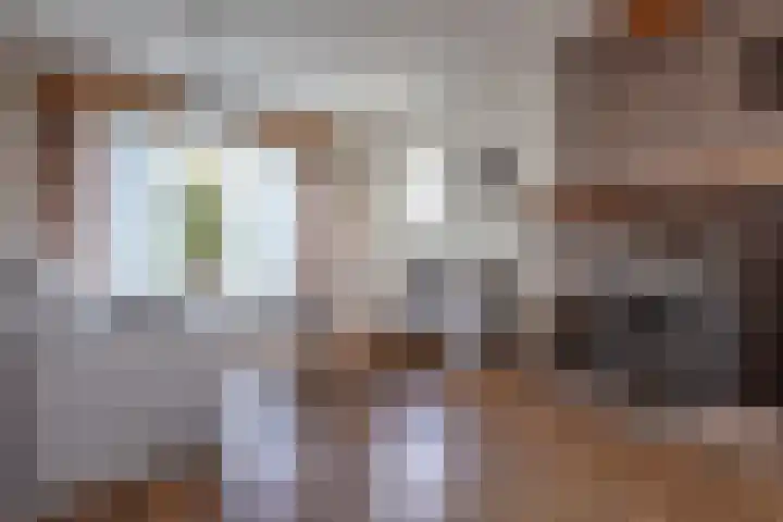 Belenbroeklaan 7 Heythuysen thumbnail 12