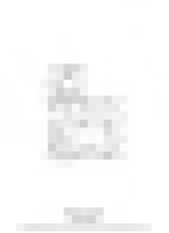 Belenbroeklaan 7 Heythuysen thumbnail 30