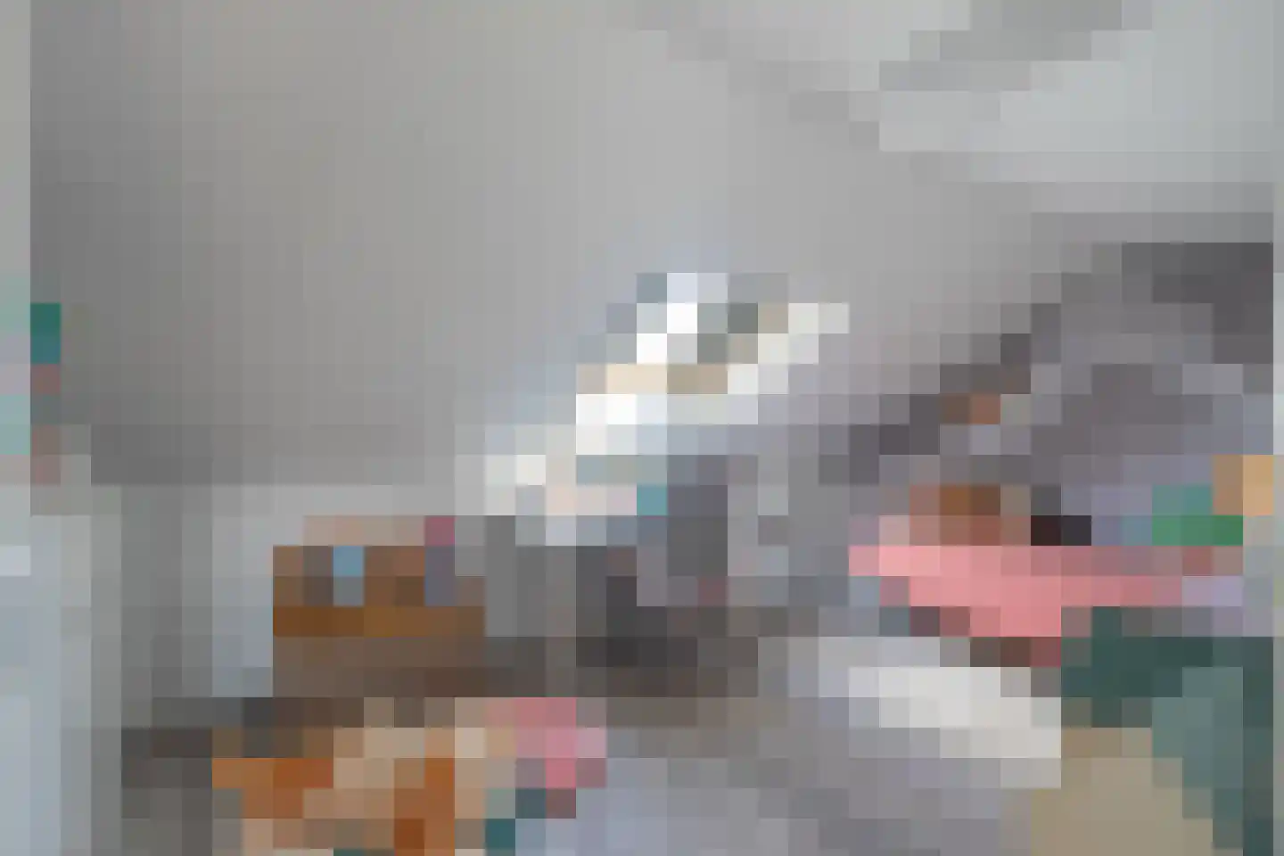 Belenweg 3 Merkelbeek thumbnail 16