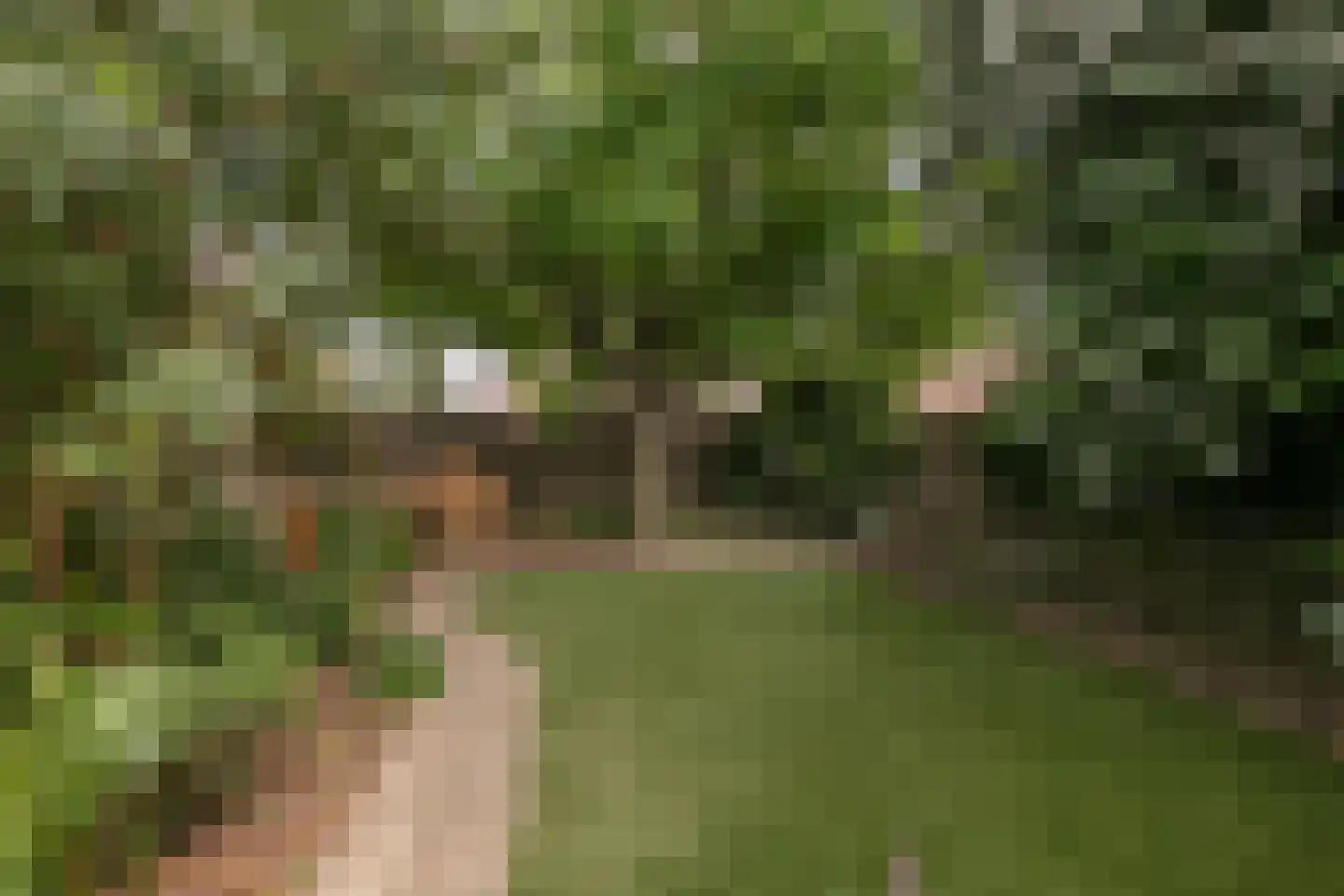 Belenweg 3 Merkelbeek thumbnail 25