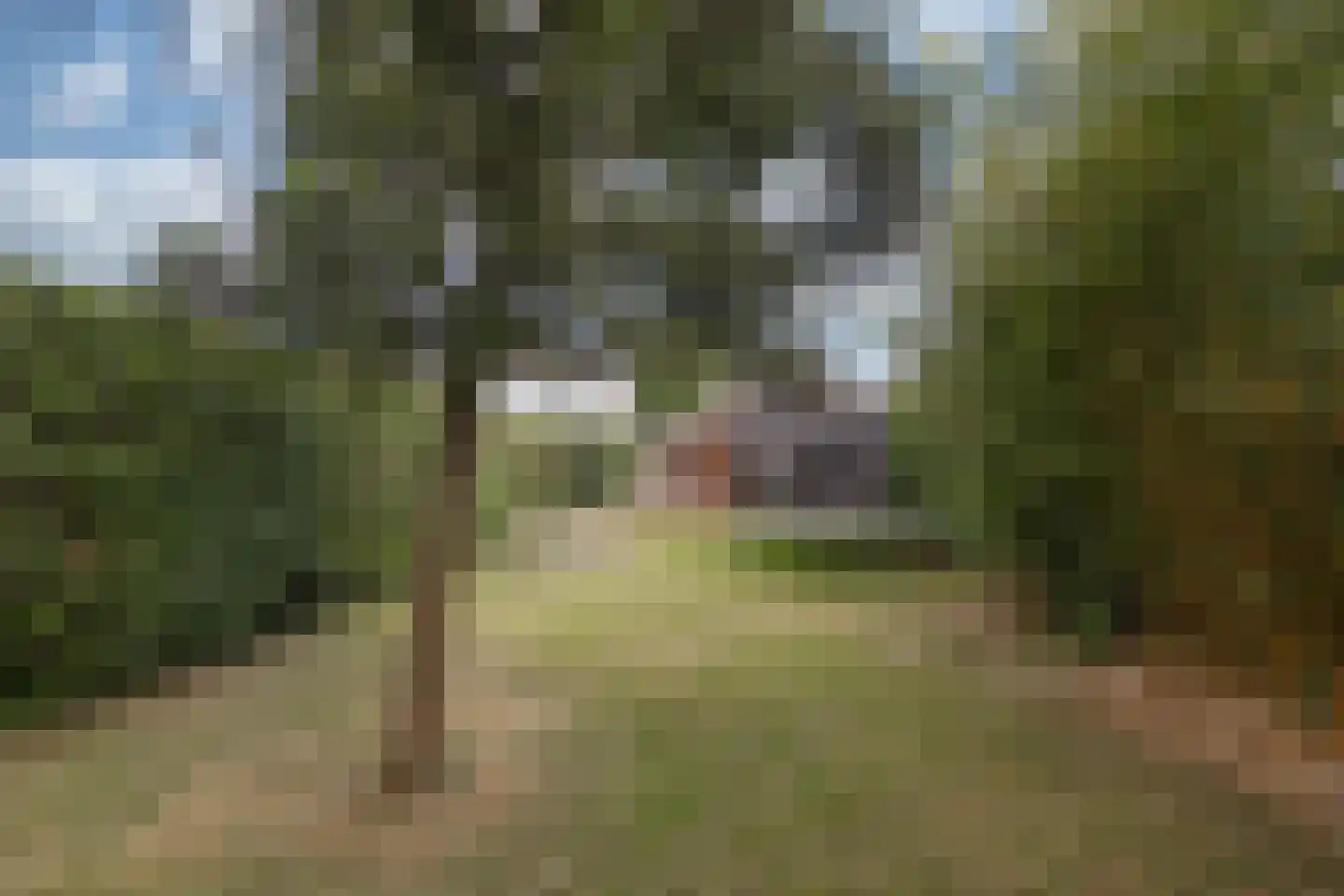 Belenweg 3 Merkelbeek thumbnail 26
