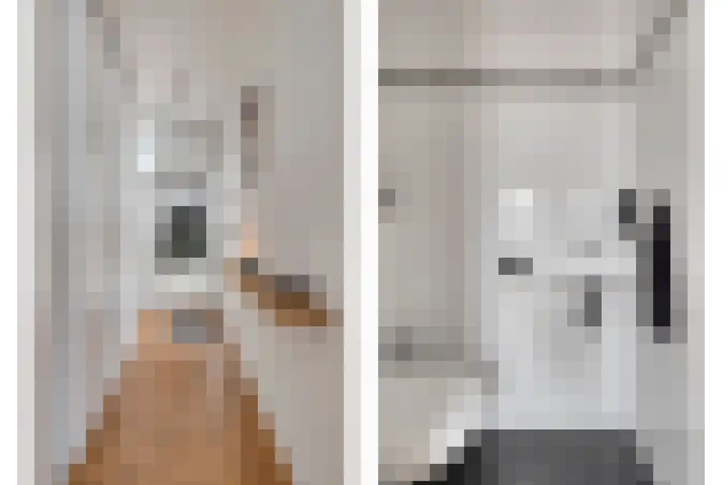 Belfeldstraat 2 Tilburg thumbnail 11