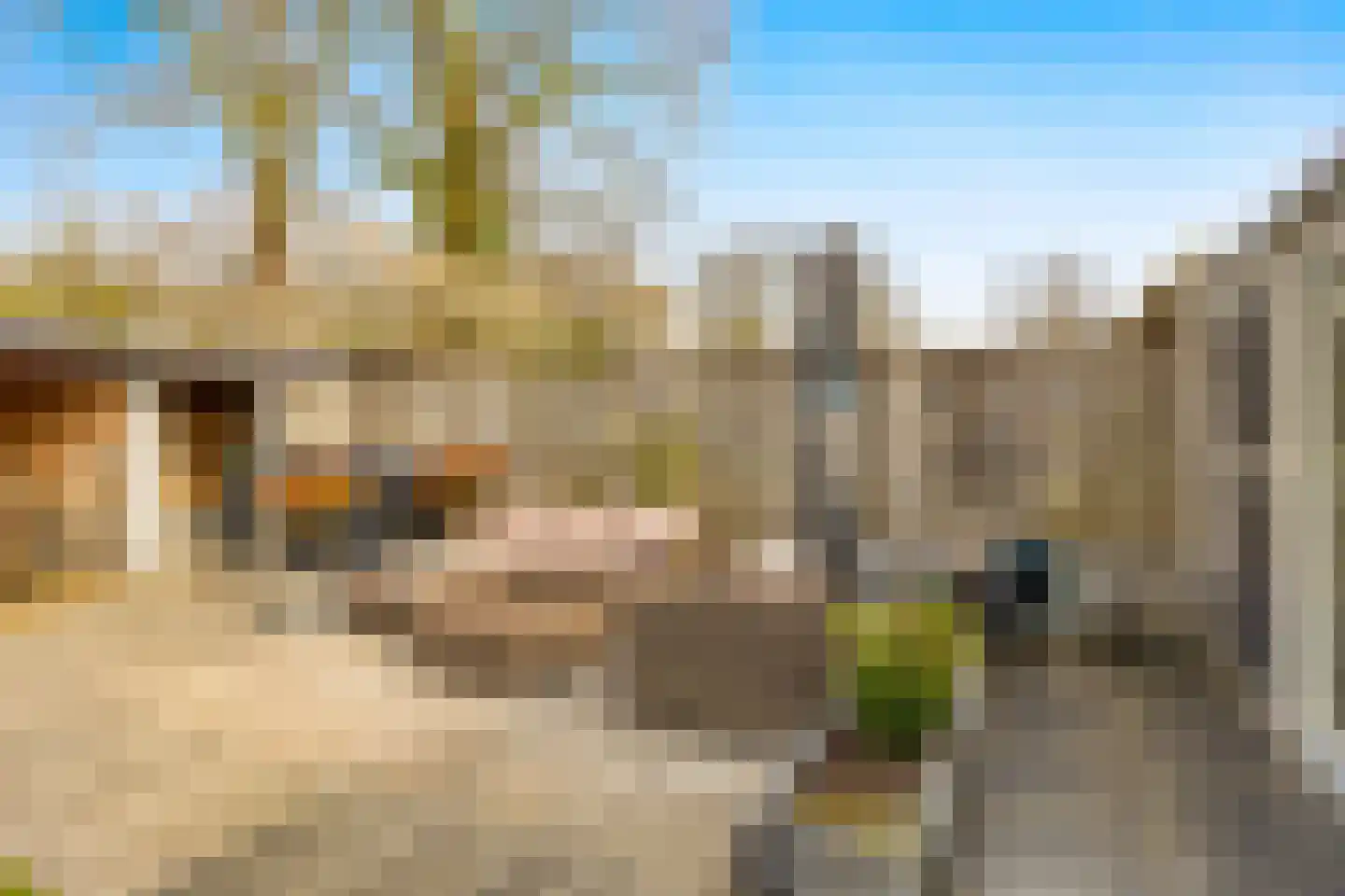 Belfeldstraat 2 Tilburg thumbnail 42
