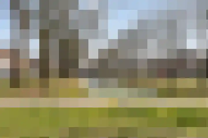 Belfeldstraat 2 Tilburg thumbnail 52