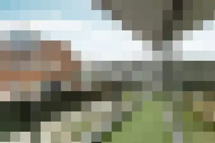 Belfort 56 Almere thumbnail 29