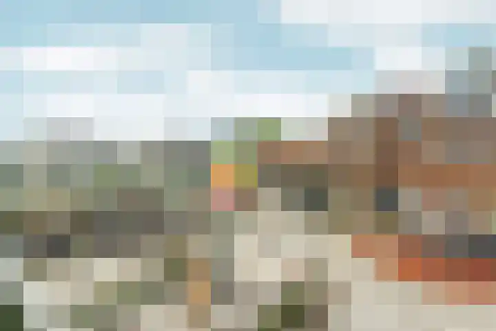 Belfort 56 Almere thumbnail 30