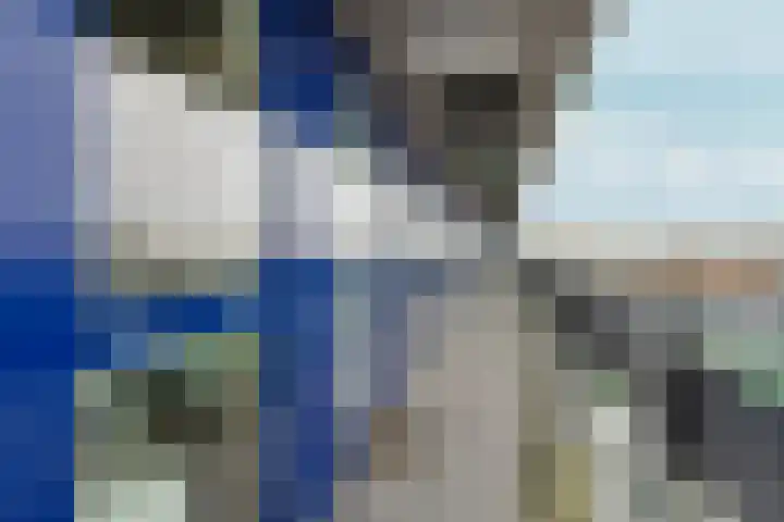 Belfort 56 Almere thumbnail 7