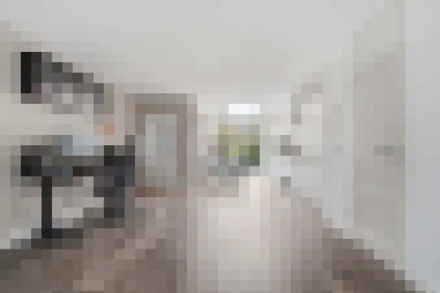 Belfort 69 Middelburg thumbnail 7