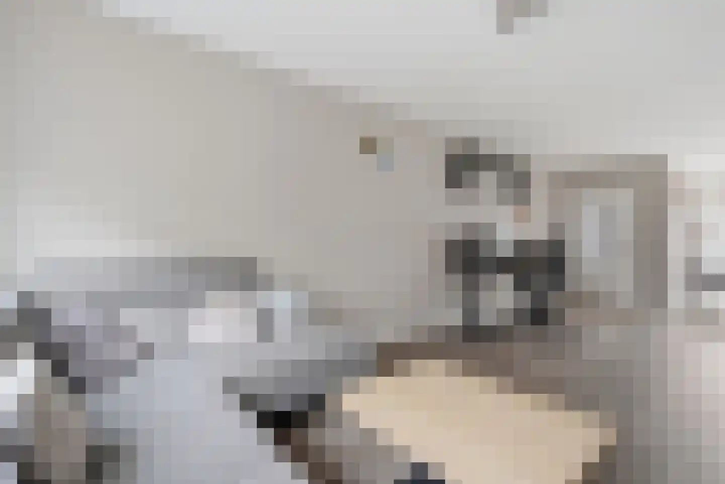 Belfort 69 Middelburg thumbnail 9