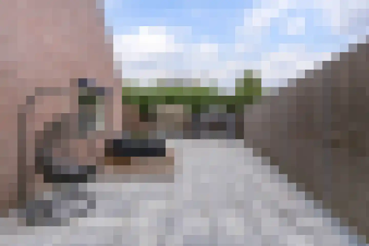 Belfort 75 Middelburg thumbnail 33