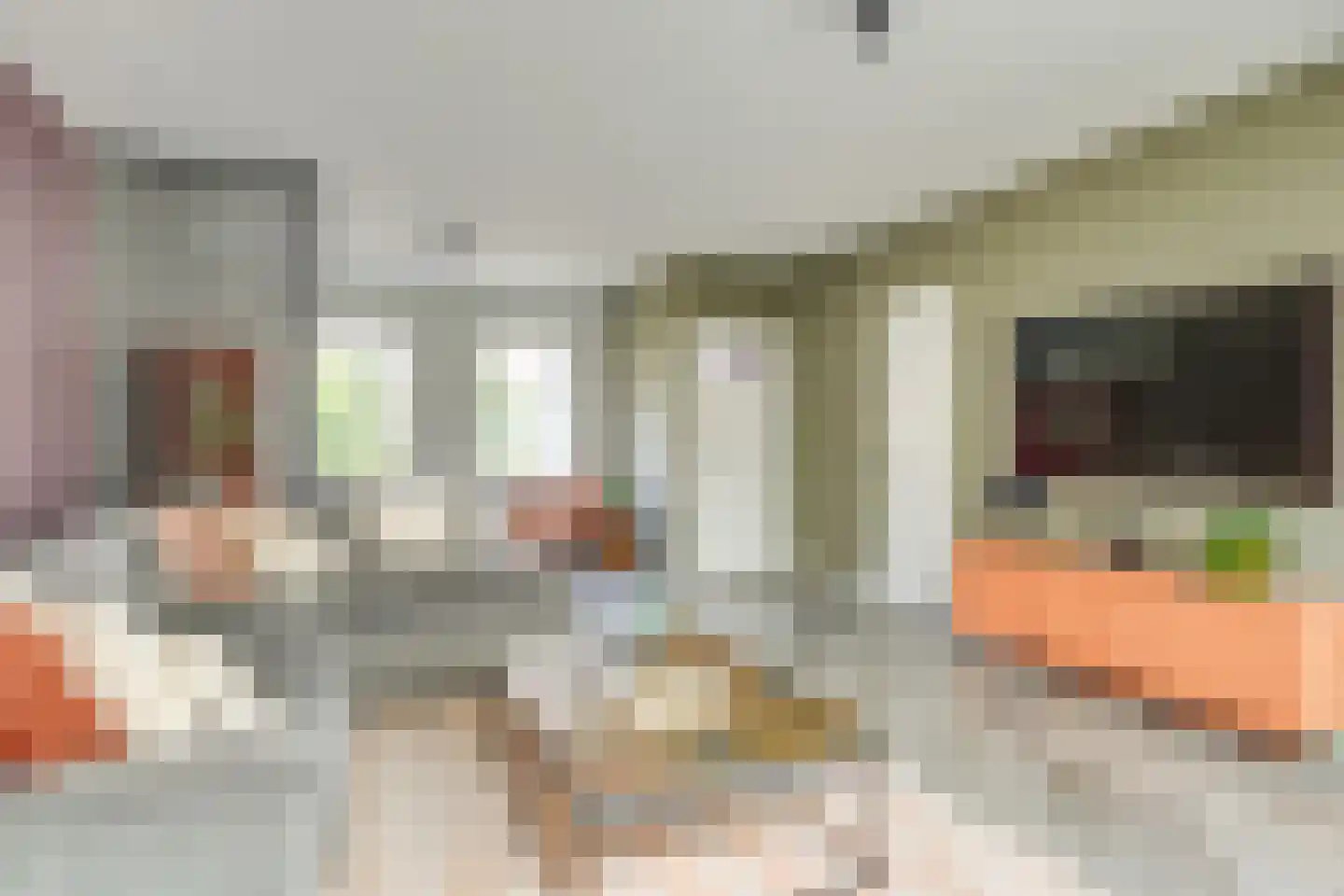 Belforthof 16 Eindhoven thumbnail 12