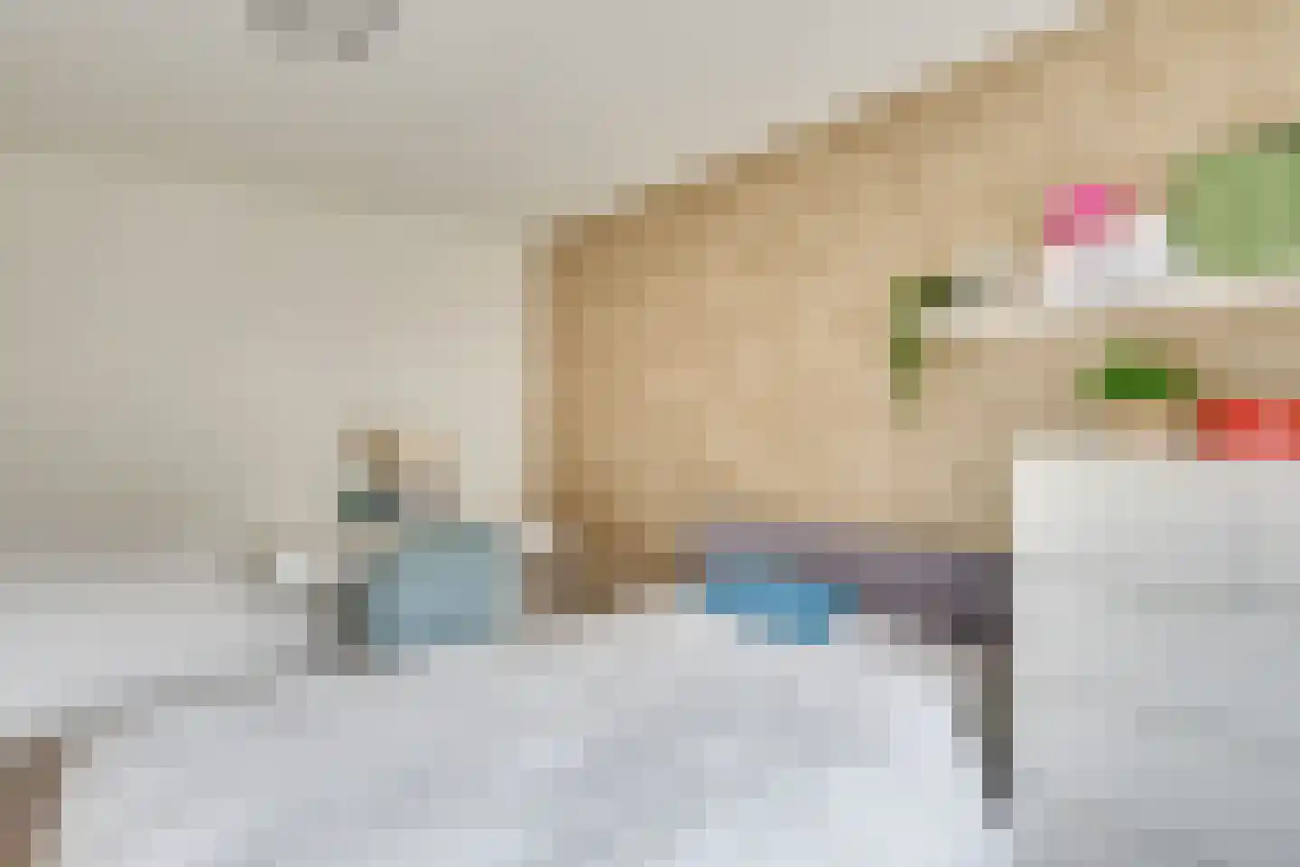 Belforthof 16 Eindhoven thumbnail 27