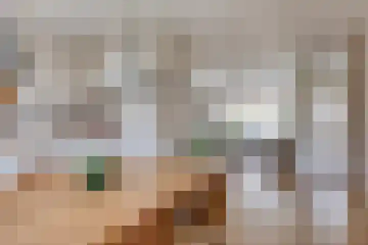 Belforthof 17 Eindhoven thumbnail 10