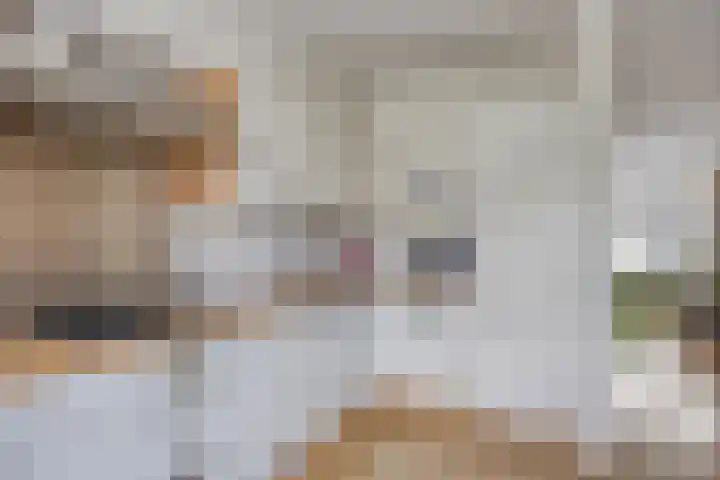 Belforthof 17 Eindhoven thumbnail 11