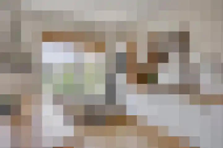 Belforthof 17 Eindhoven thumbnail 12