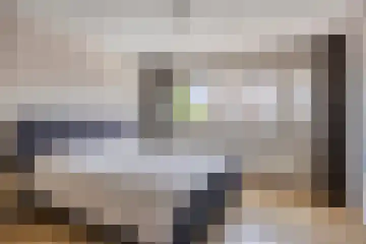 Belforthof 17 Eindhoven thumbnail 14