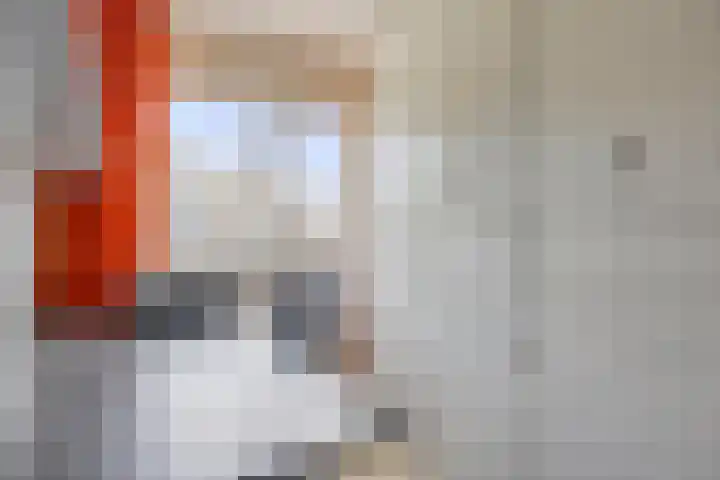 Belforthof 17 Eindhoven thumbnail 17